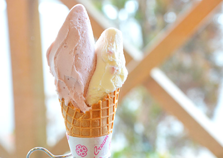 ナチュラ・ヴィータ