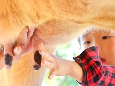 動物ふれあい体験
