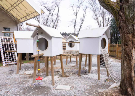 鳥の巣アスレチック