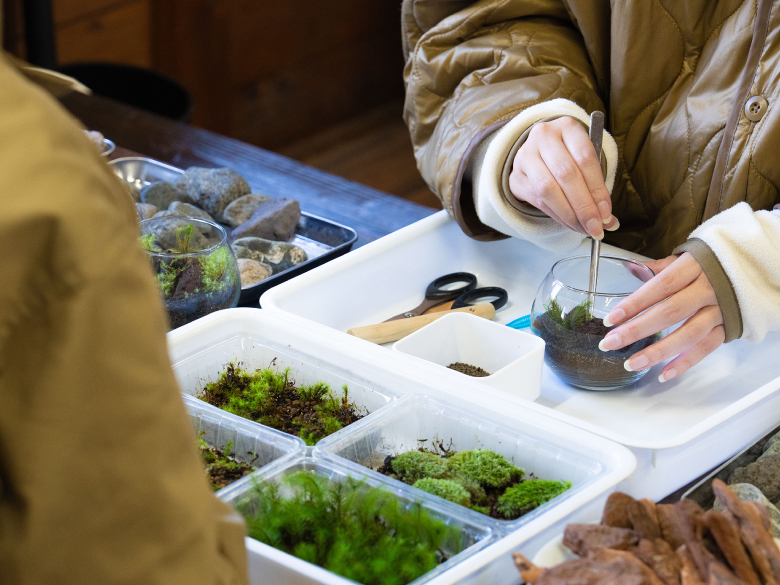 ワークショップ