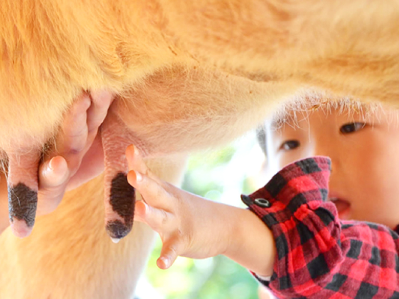 動物ふれあい体験