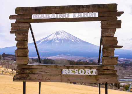 木製フォトフレーム