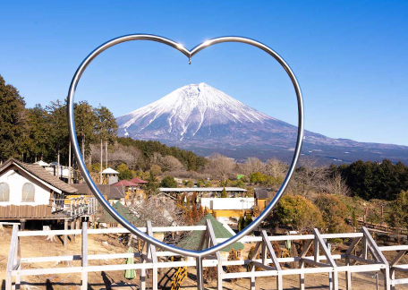 ステンレスハートフレーム