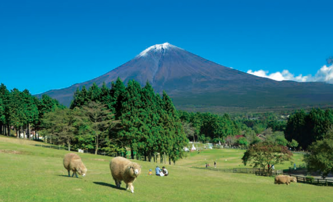 富士の豊かな自然と、寄り添いながら発展を目指す