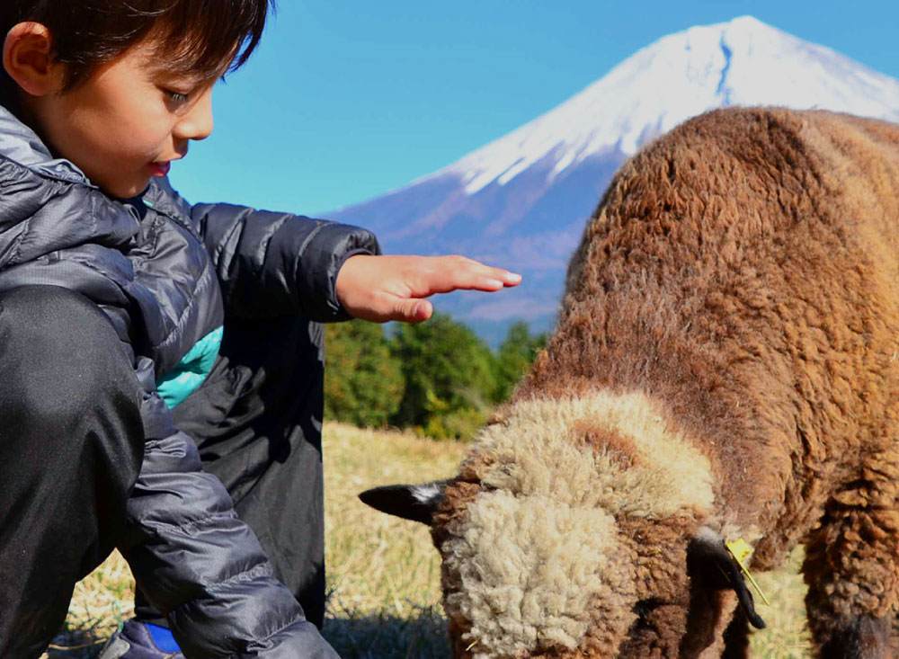 日本一富士山の絶景を望める静岡の牧場 まかいの牧場へようこそ