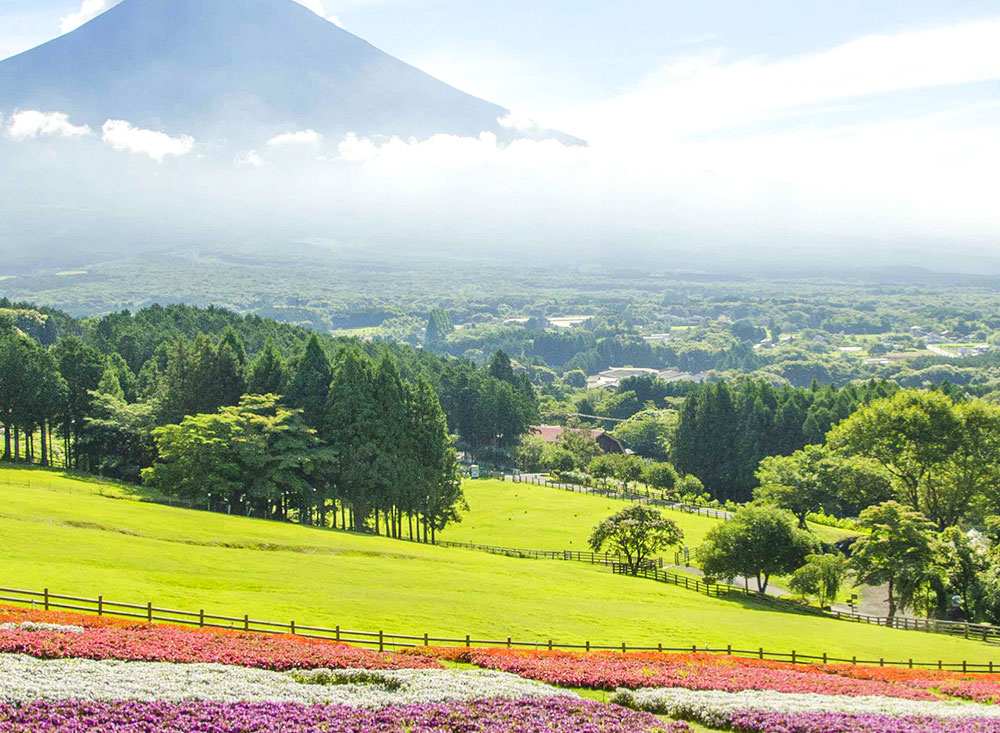 日本一富士山の絶景を望める静岡の牧場 まかいの牧場へようこそ