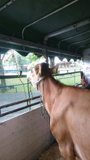 04301BB3-7995-4AC6-9A90-CC3695379C38