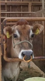 3901225A-8014-40B4-98B0-C7F9FA1B8099