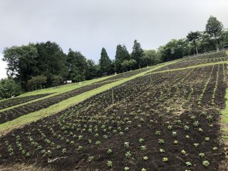 3E99DDE6-9510-4C58-B0E7-8BE1F64CE140