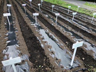 5B89D12F-1C26-4569-BE71-0F59A49142A8