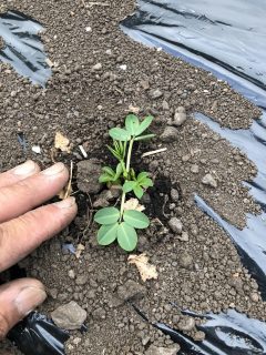 7E26FA1A-D615-476D-BE3C-EEE307093A56