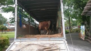 A4467AF2-8C48-48CF-8D70-E0E564D34411