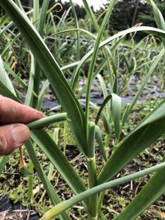 AACC5E74-F429-4D68-8668-CCADEDF11A9F