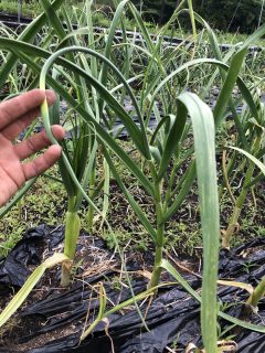 F39D898A-BF3C-44C0-B971-7E78AB9691D2