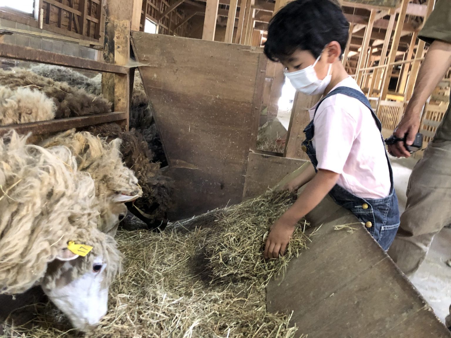 馬飼野牧場の夜を、テントで過ごした朝☀ 日本一富士山の絶景を望める静岡の牧場、まかいの牧場へようこそ!