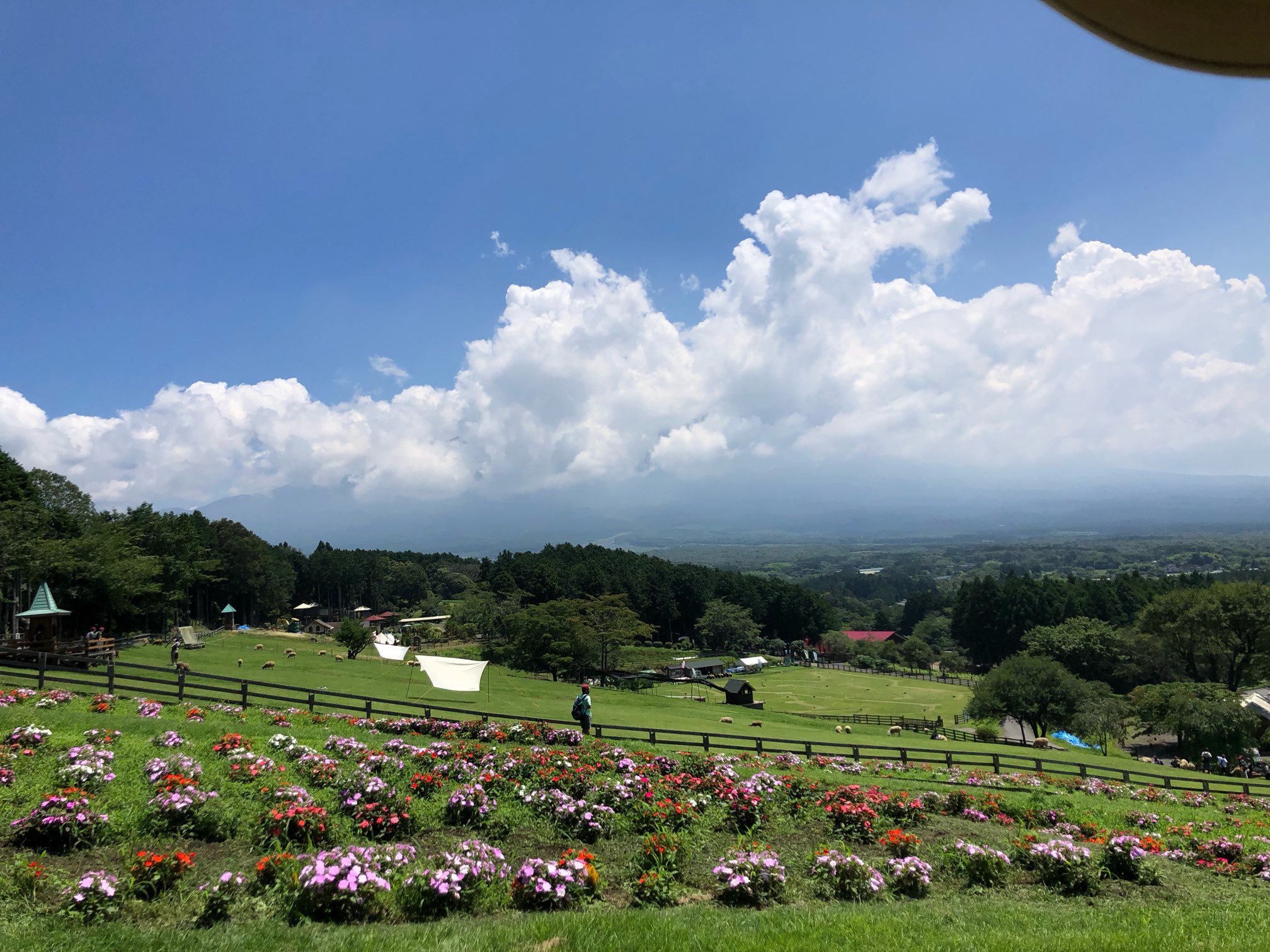 夏休み 新しいもの がいろいろ始まり 怒涛の写真枚数でお届けしますｗ 日本一富士山の絶景を望める静岡の牧場 まかいの牧場へようこそ