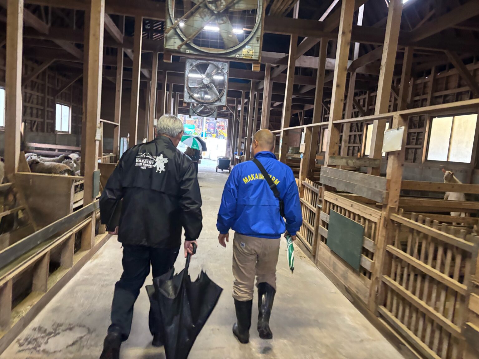 見回る | 日本一富士山の絶景を望める静岡の牧場、まかいの牧場へようこそ！
