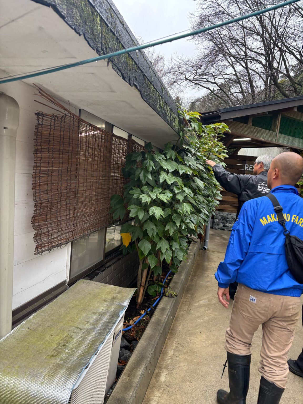 見回る | 日本一富士山の絶景を望める静岡の牧場、まかいの牧場へようこそ！